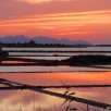 Saline di Marsala e Cantina Donnafugata