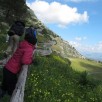 Vivi il Bosco Trekking e Parco Avventura