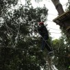 Vivi il Bosco Trekking e Parco Avventura