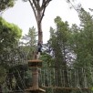 Vivi il Bosco Trekking e Parco Avventura