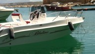 Noleggio Barche Barca Bluline 5,60 mt 40-60 HP 4T