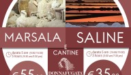 Escursioni Saline di Marsala e Cantina Donnafugata