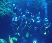 Diving Immersioni Guidate