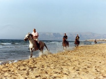 Escursioni a Cavallo