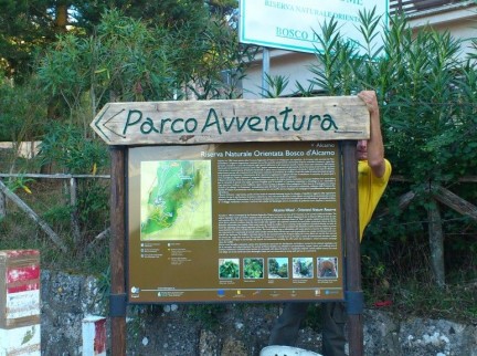 Vivi il Bosco Trekking e Parco Avventura